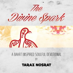 The Divine Spark - Album Cover