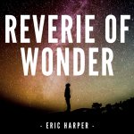Reverie Of Wonder